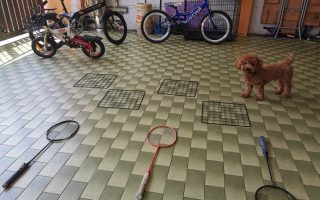 sibling fun and fight, childhood