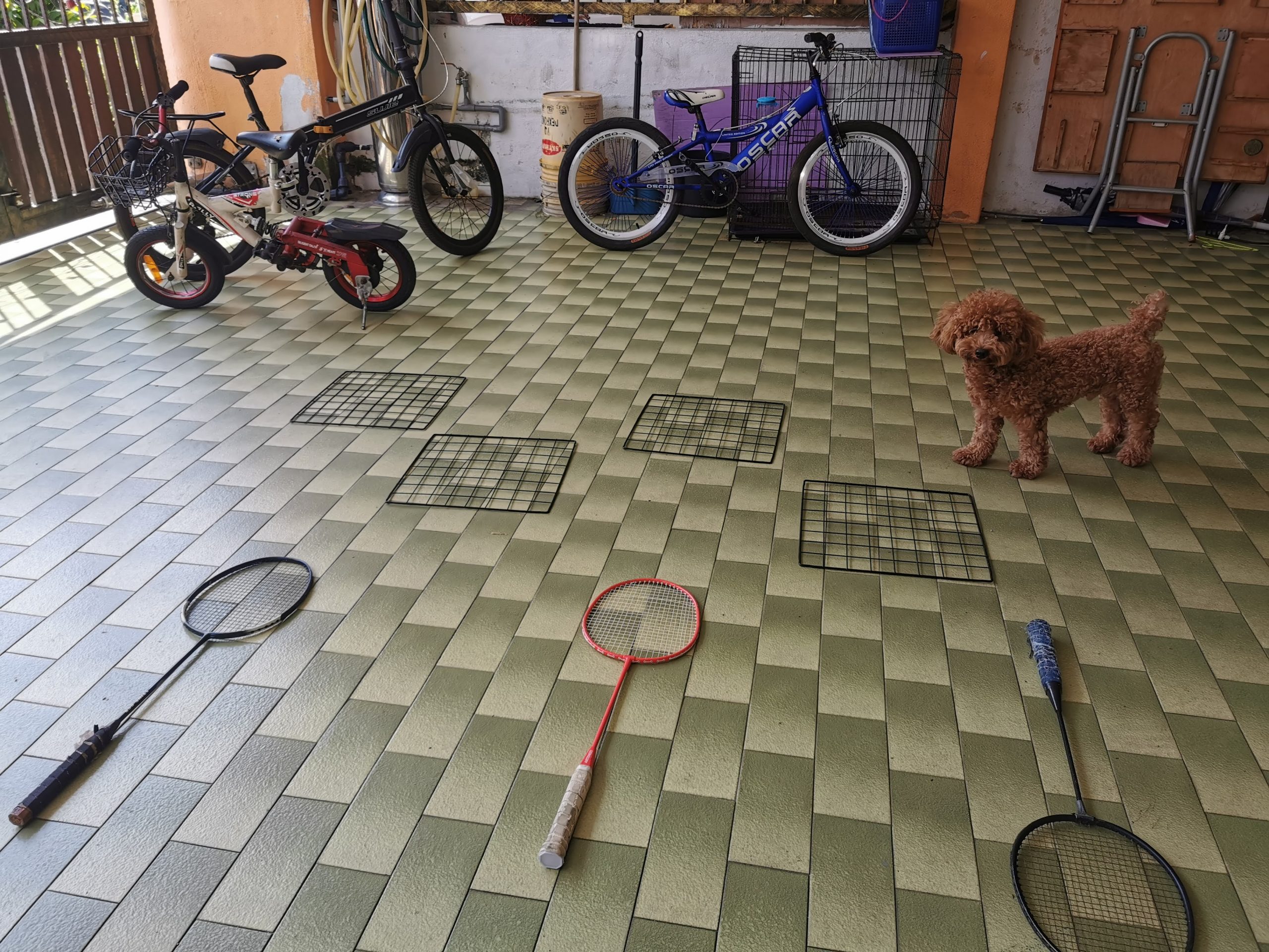 sibling fun and fight, childhood