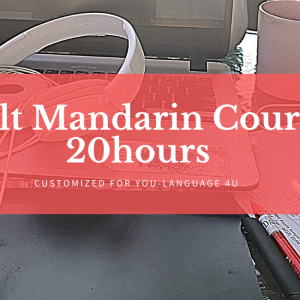 Adult Mandarin Customized Course
