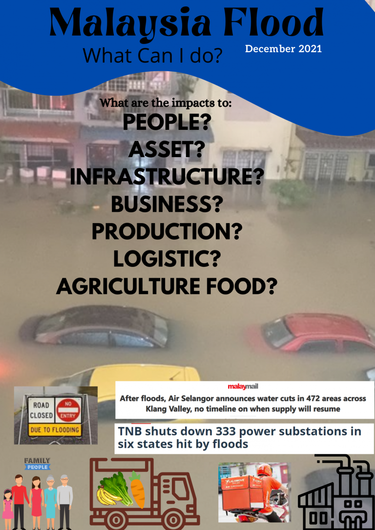 How much the Flood Cost?